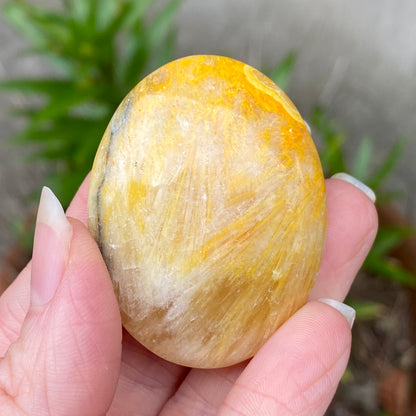 Bumblebee Jasper Palm Stone