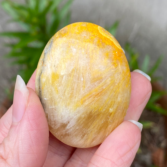 Bumblebee Jasper Palm Stone
