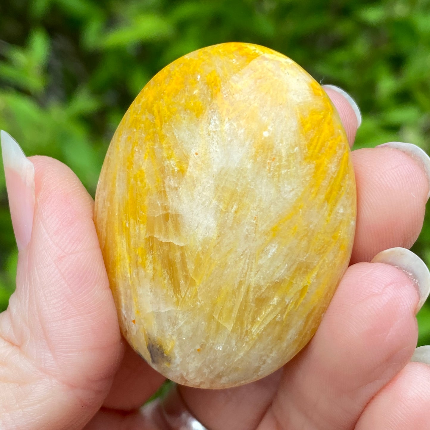 Bumblebee Jasper Palm Stone