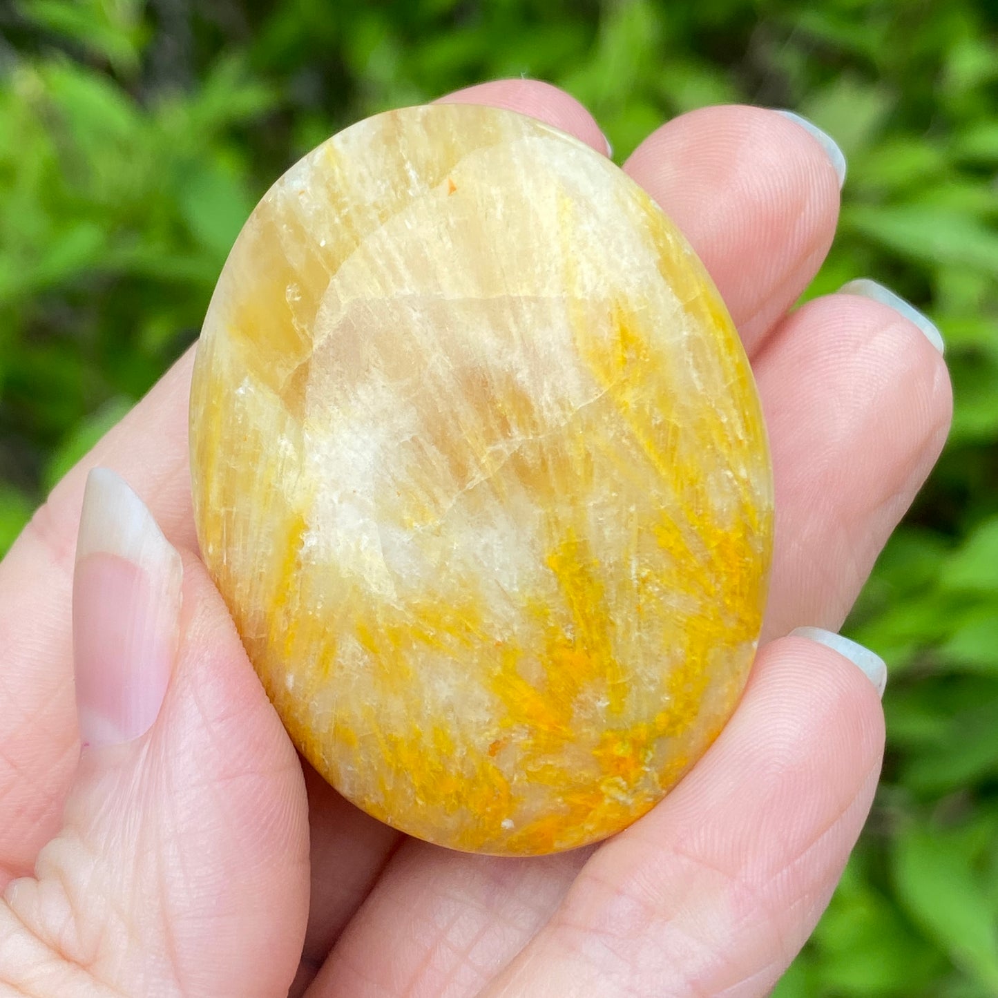 Bumblebee Jasper Palm Stone