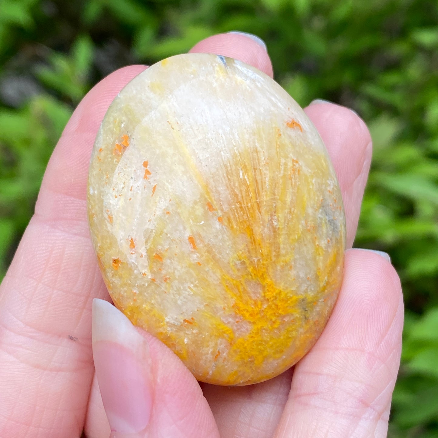 Bumblebee Jasper Palm Stone
