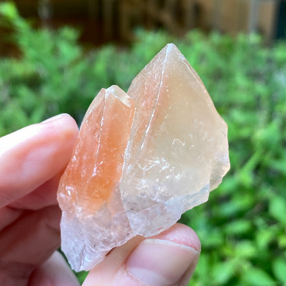 Dogtooth Calcite Point