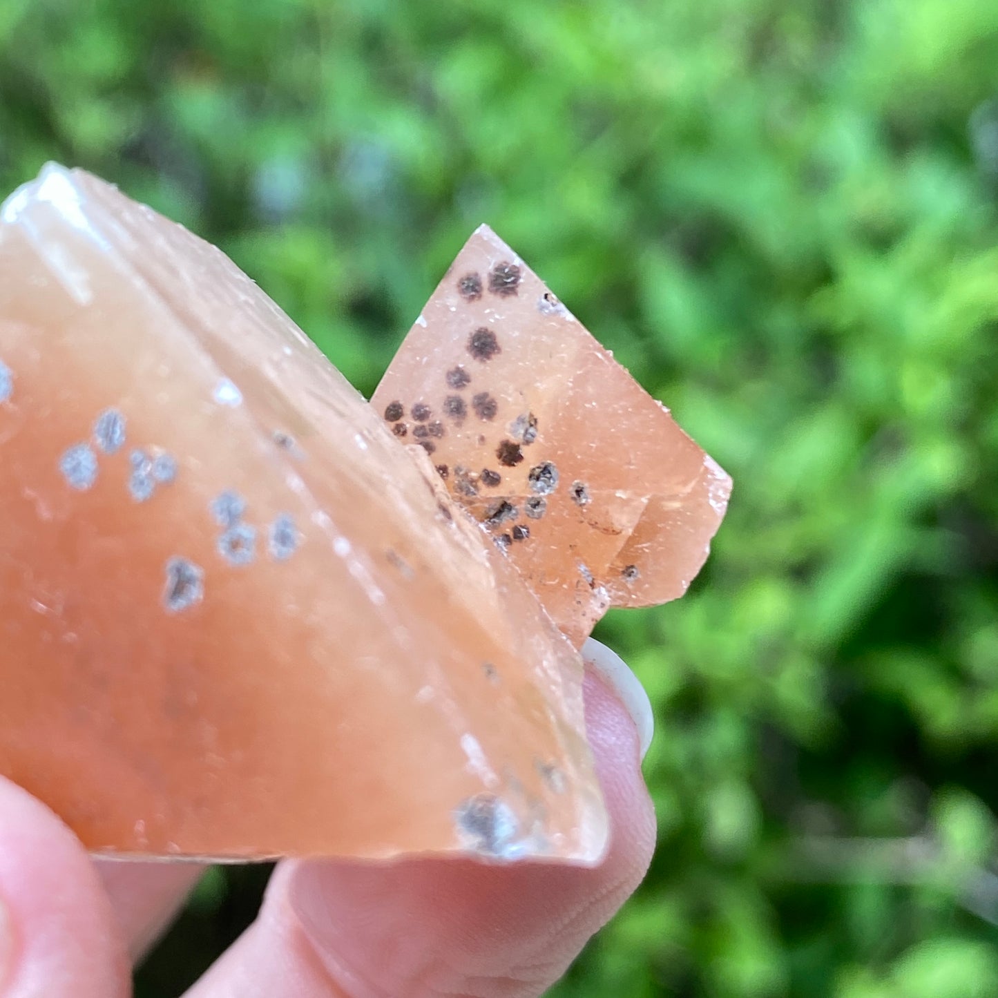 Dogtooth Calcite Point
