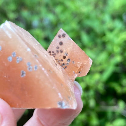 Dogtooth Calcite Point