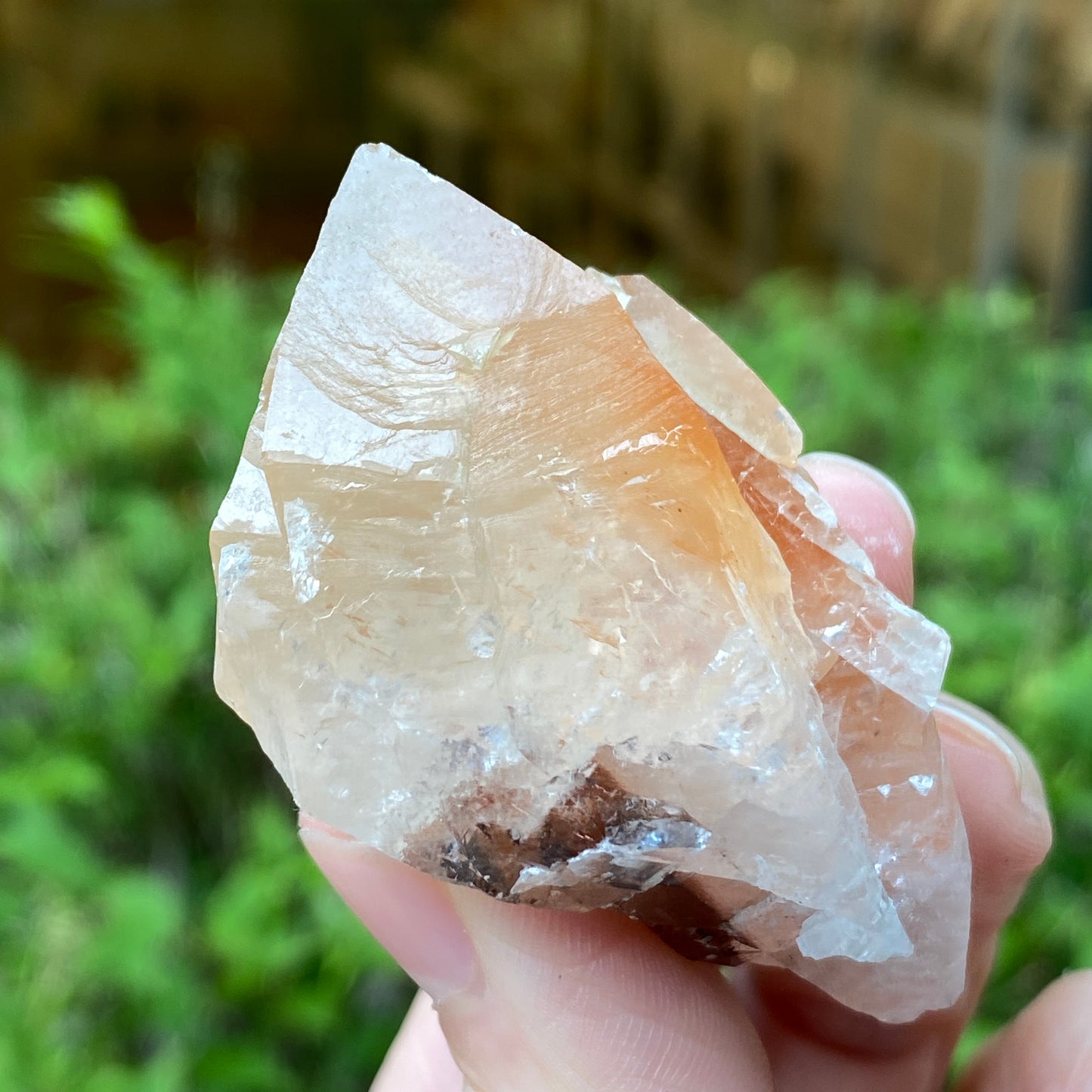 Dogtooth Calcite Point
