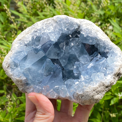 Celestite Geode