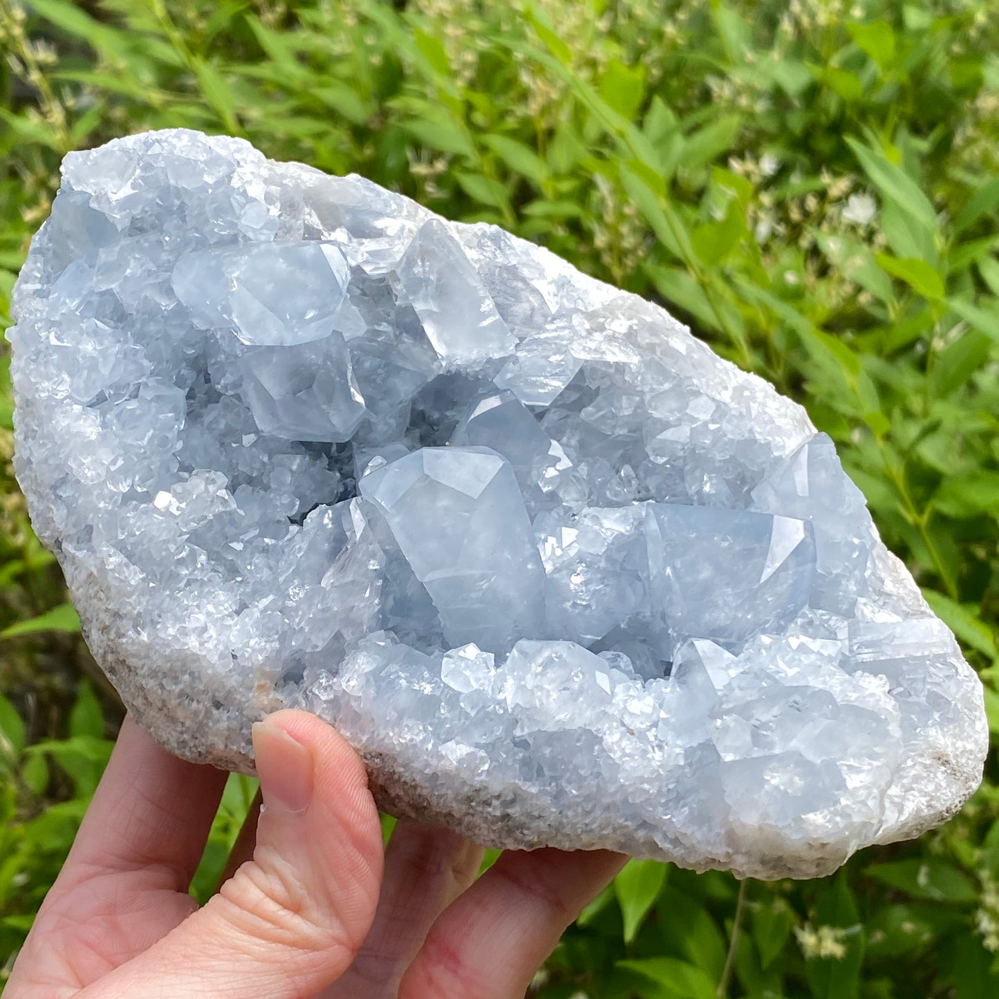 Celestite Geode