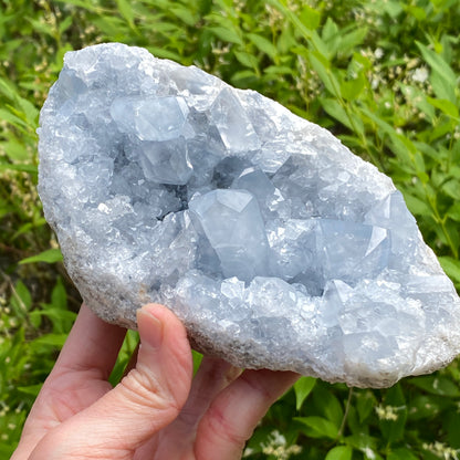 Celestite Geode