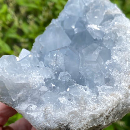 Celestite Geode