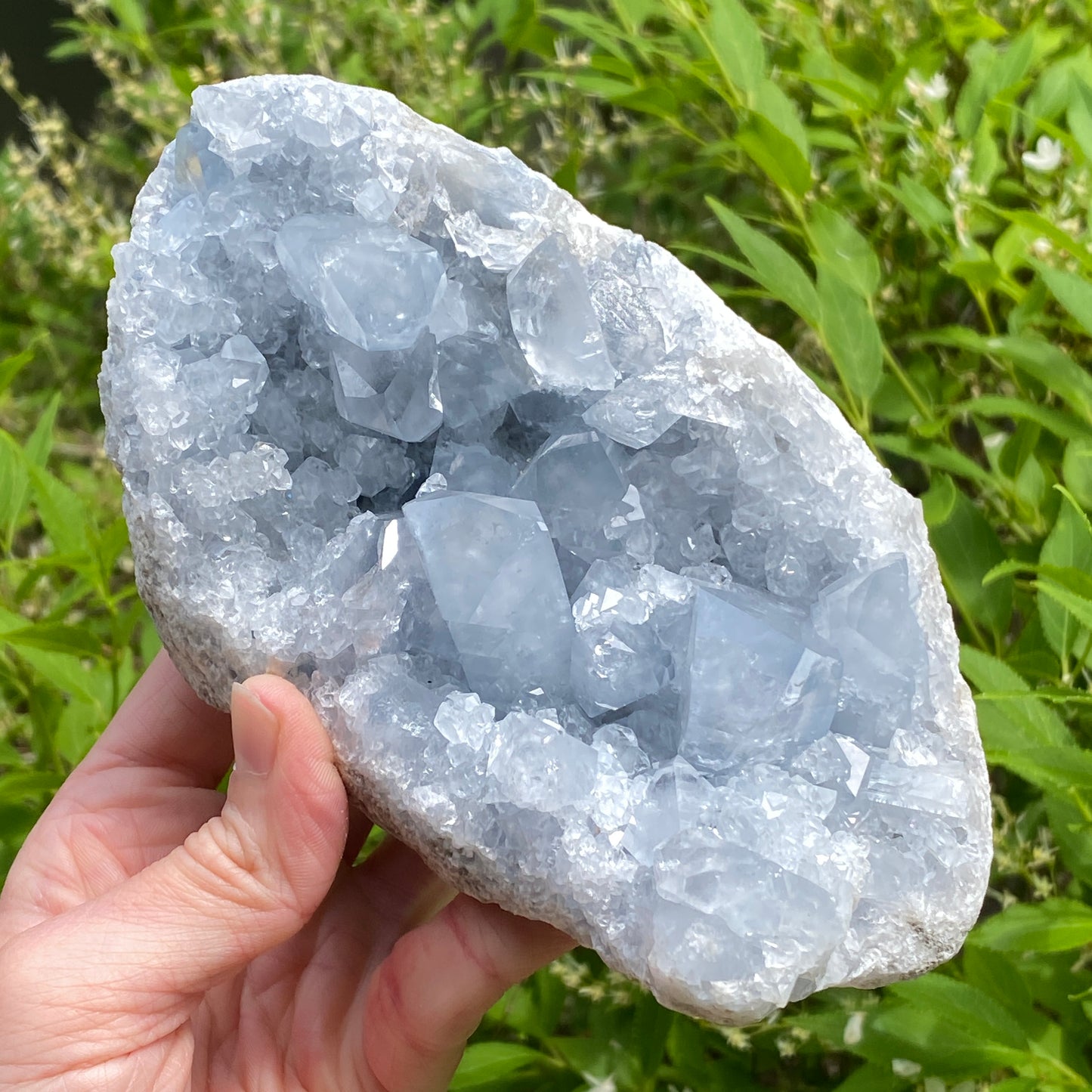Celestite Geode