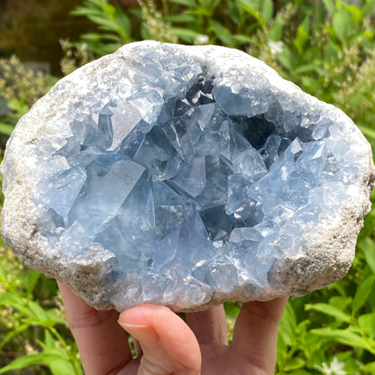 Celestite Geode