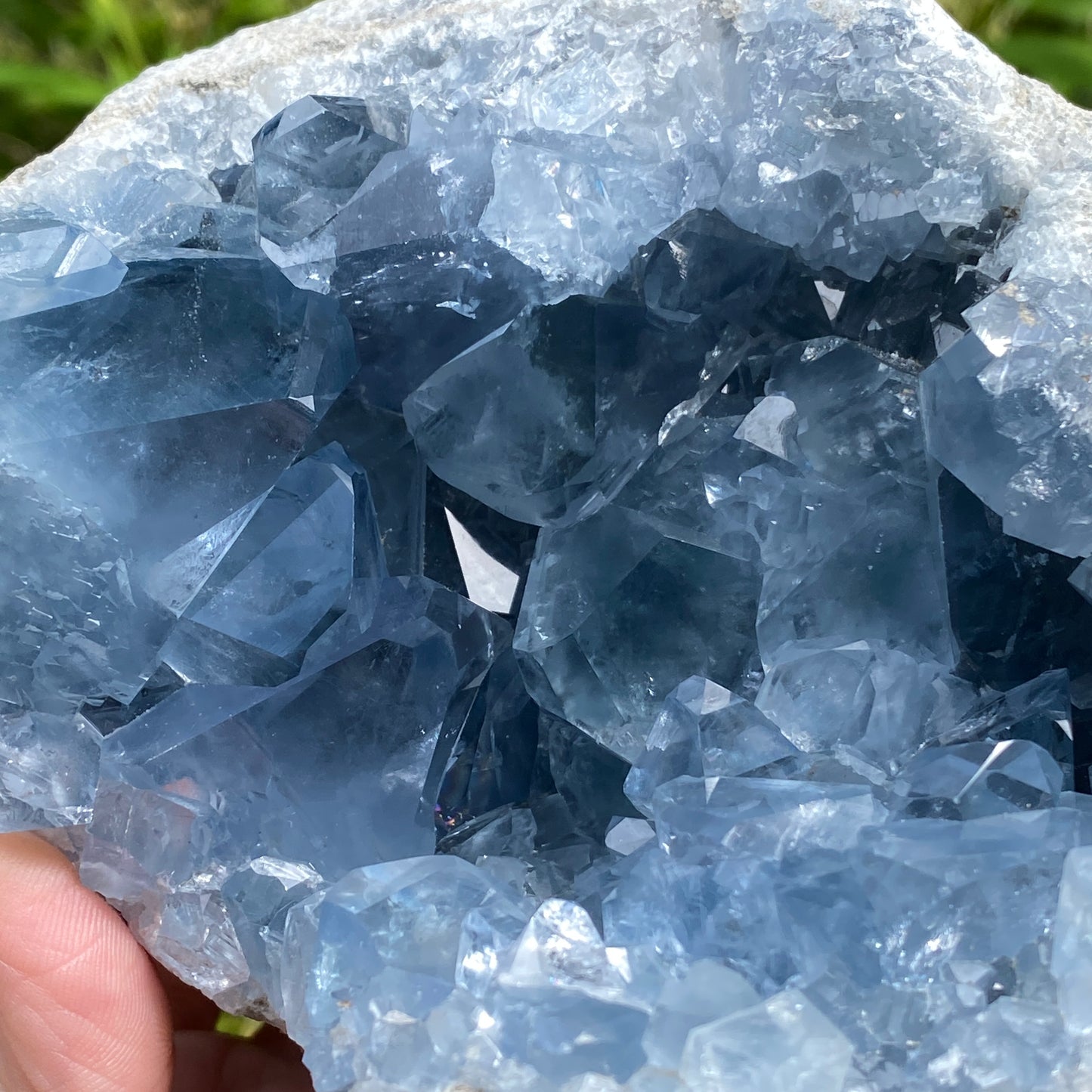 Celestite Geode