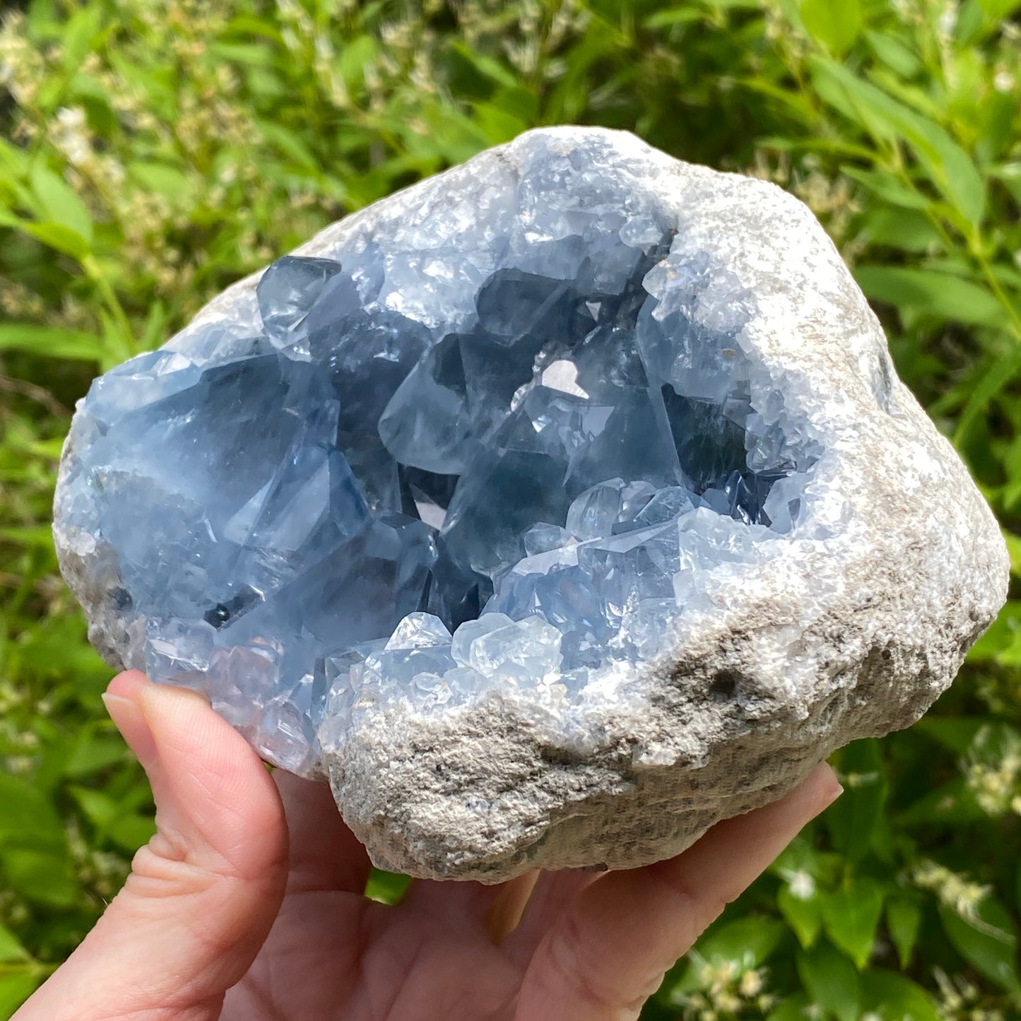 Celestite Geode