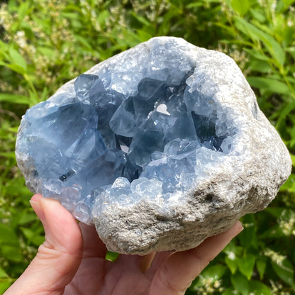 Celestite Geode