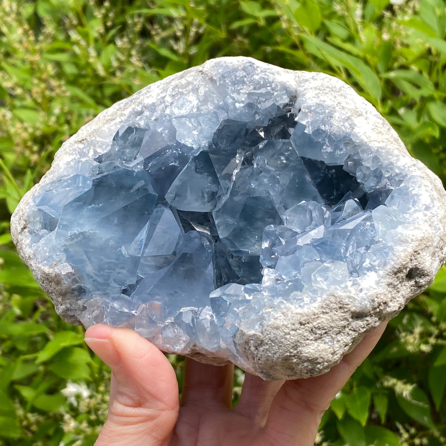 Celestite Geode