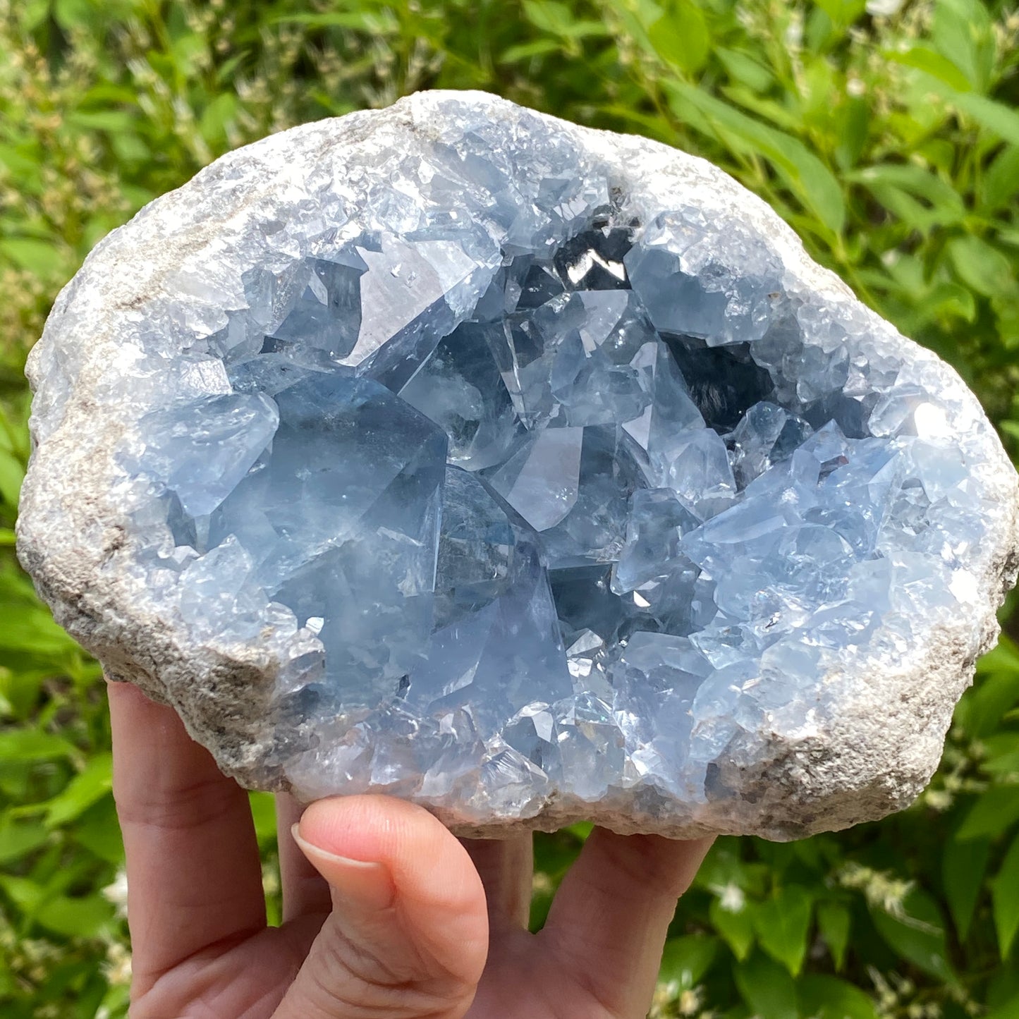 Celestite Geode