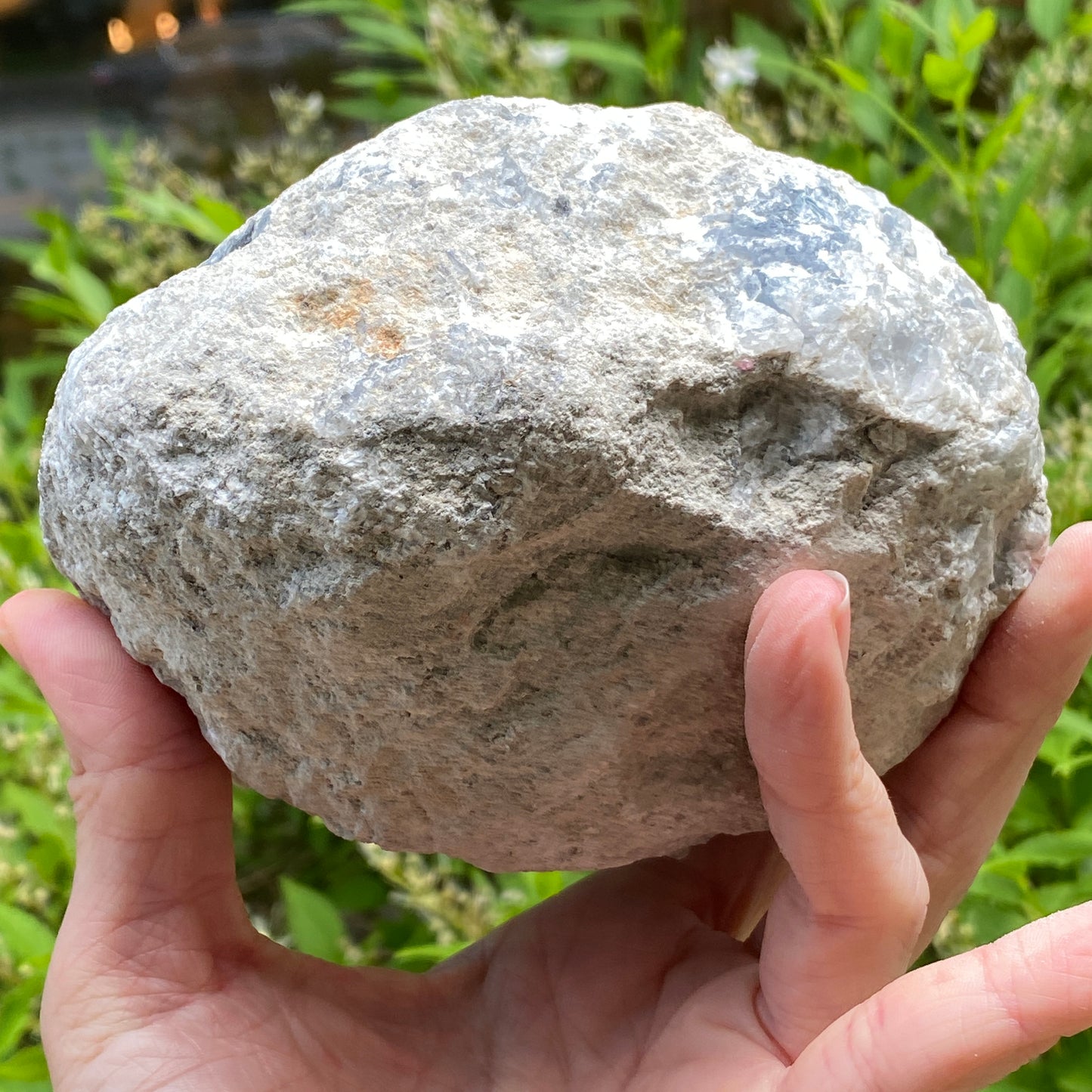 Celestite Geode