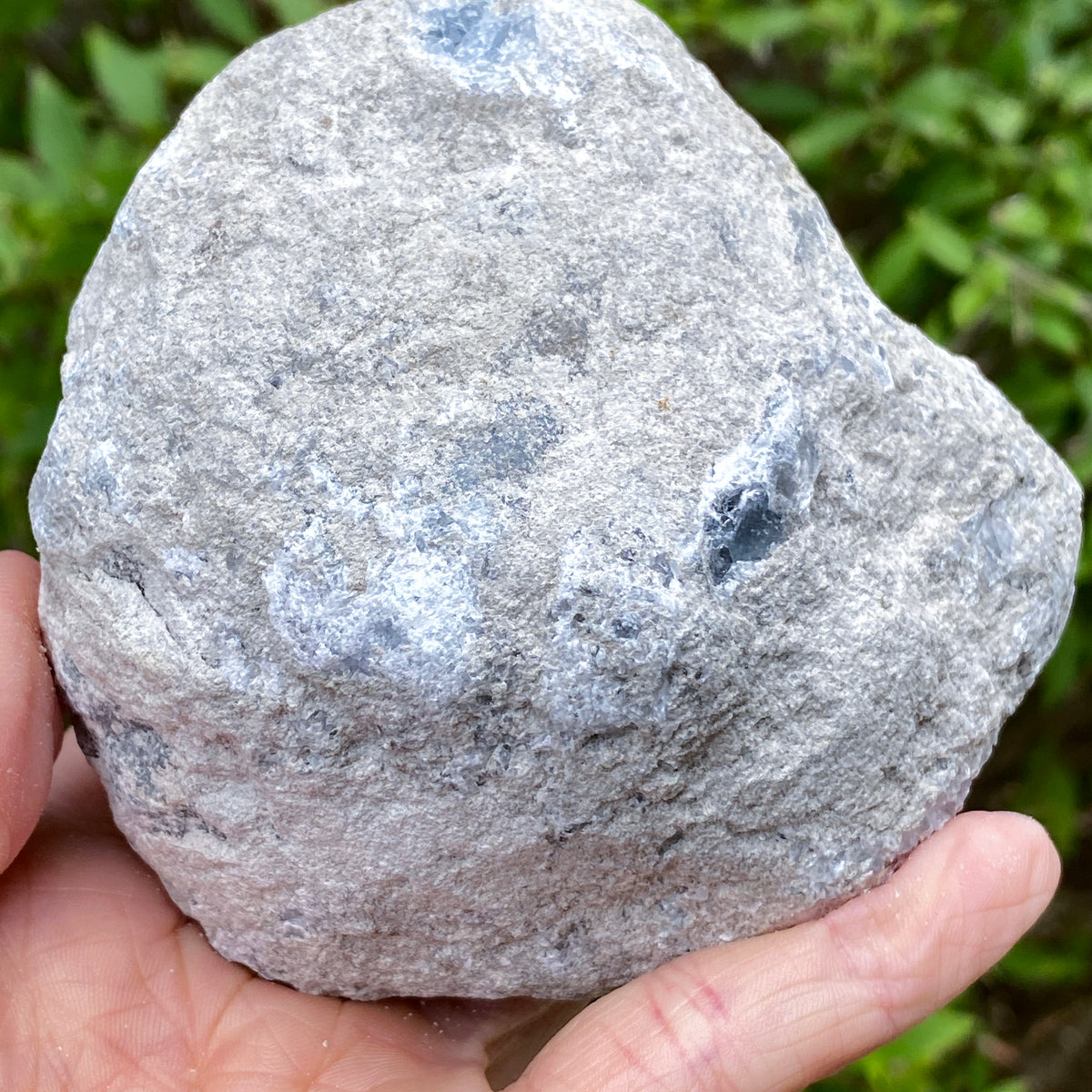 Celestite Geode