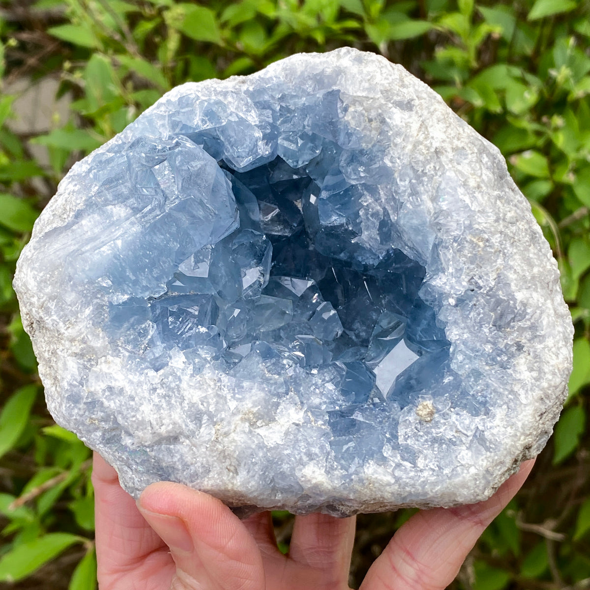 Celestite Geode
