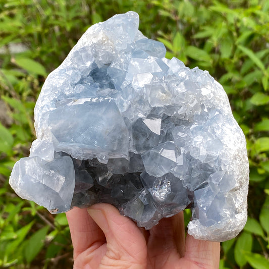 Celestite Geode