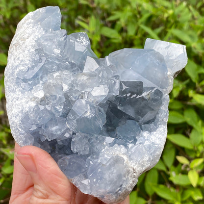Celestite Geode
