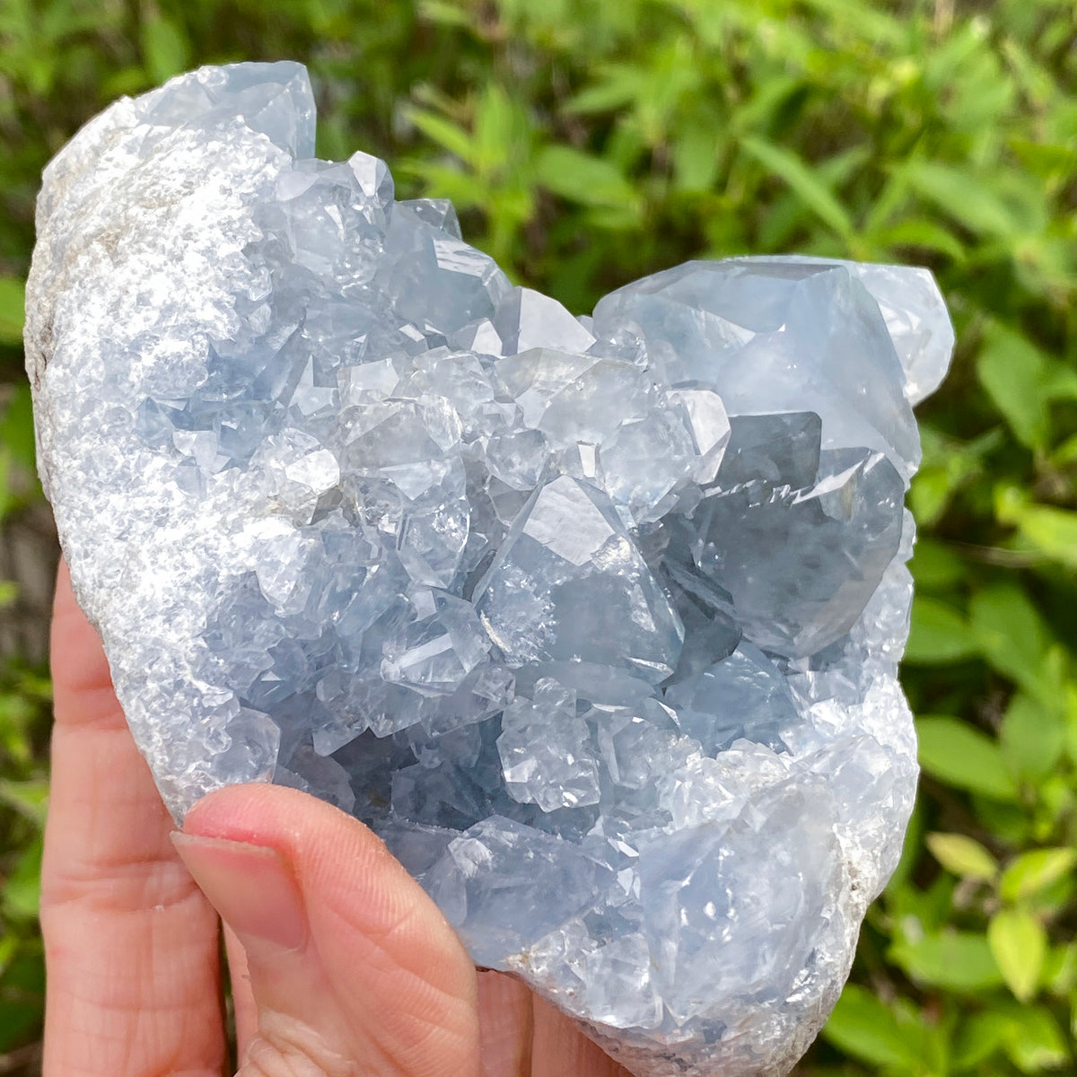 Celestite Geode