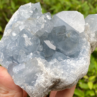 Celestite Geode