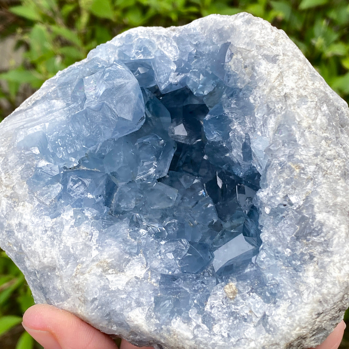 Celestite Geode