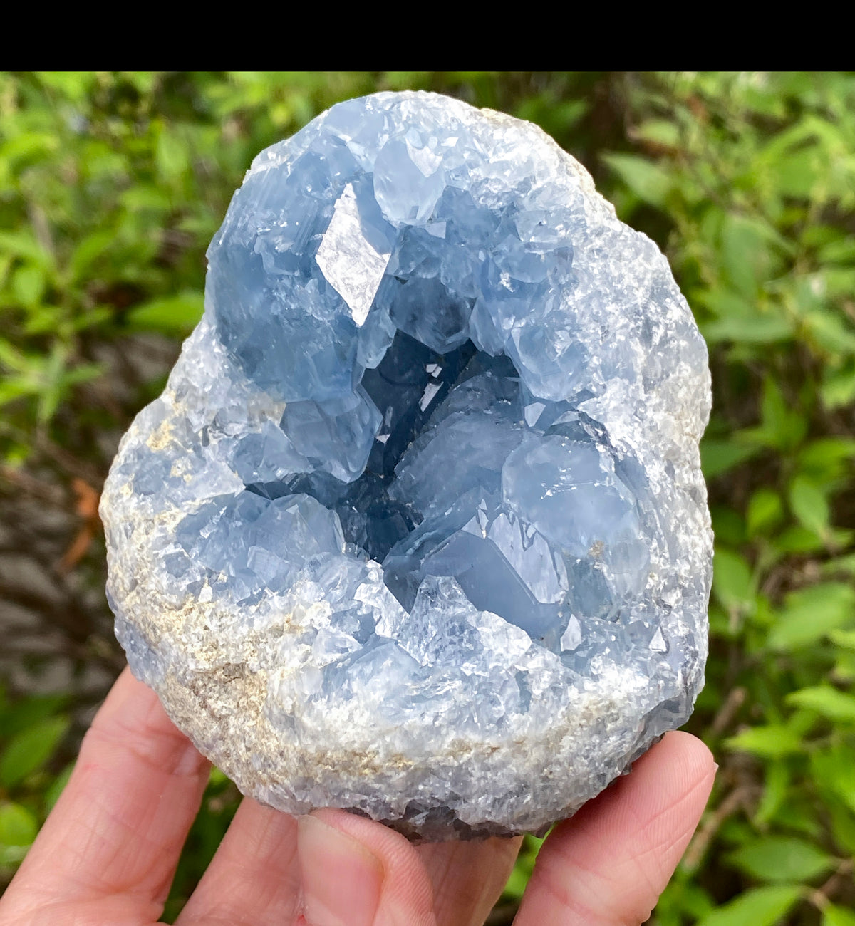 Celestite Geode