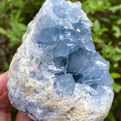 Celestite Geode