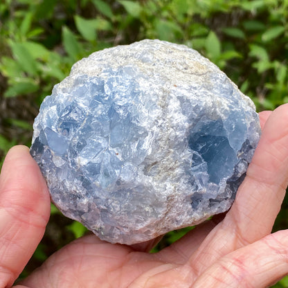 Celestite Geode