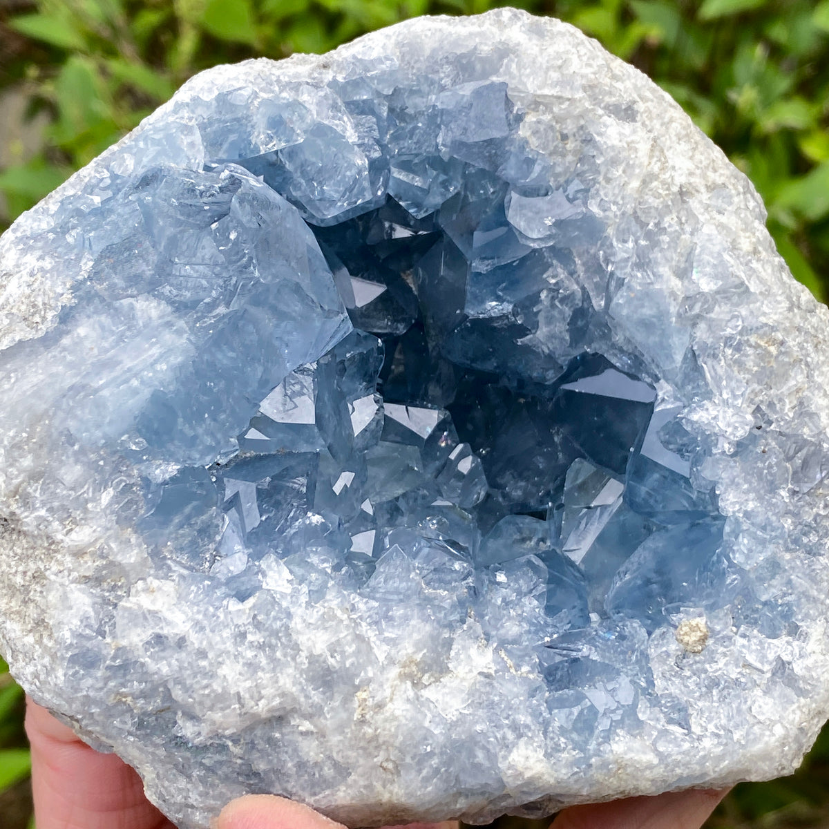 Celestite Geode