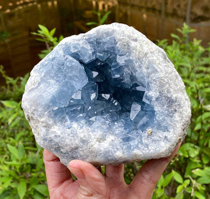Celestite Geode