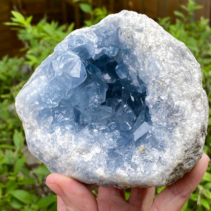 Celestite Geode