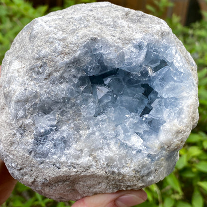Celestite Geode