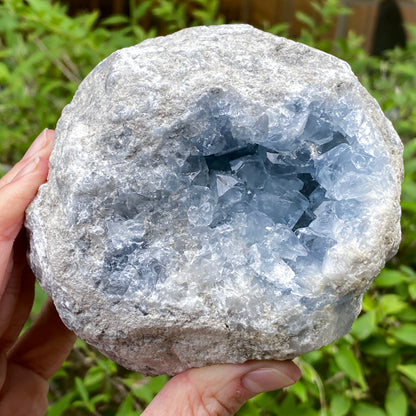 Celestite Geode