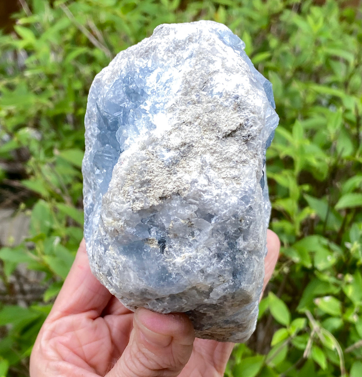 Celestite Geode