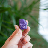 Charoite Tumbled Stone