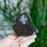 Chaistolite, Spain