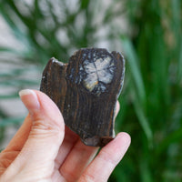 Chaistolite, Spain