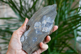 Chaistolite, Spain