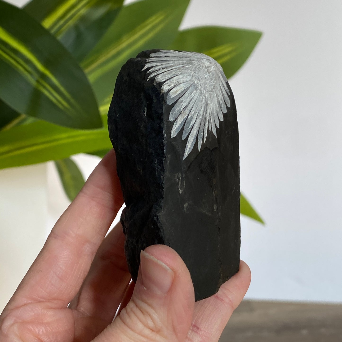 Chrysanthemum Stone