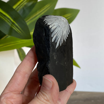 Chrysanthemum Stone