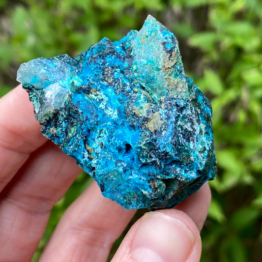 Chrysocolla Quartz