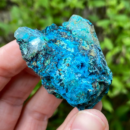 Chrysocolla Quartz