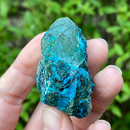 Chrysocolla Quartz
