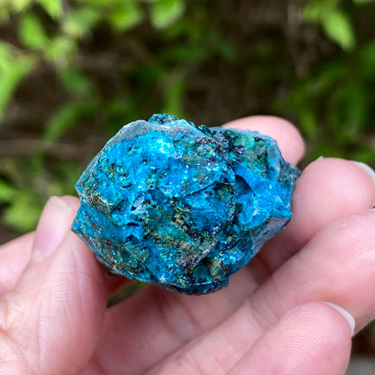Chrysocolla Quartz