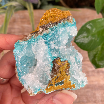 Chrysocolla Quartz, Peru