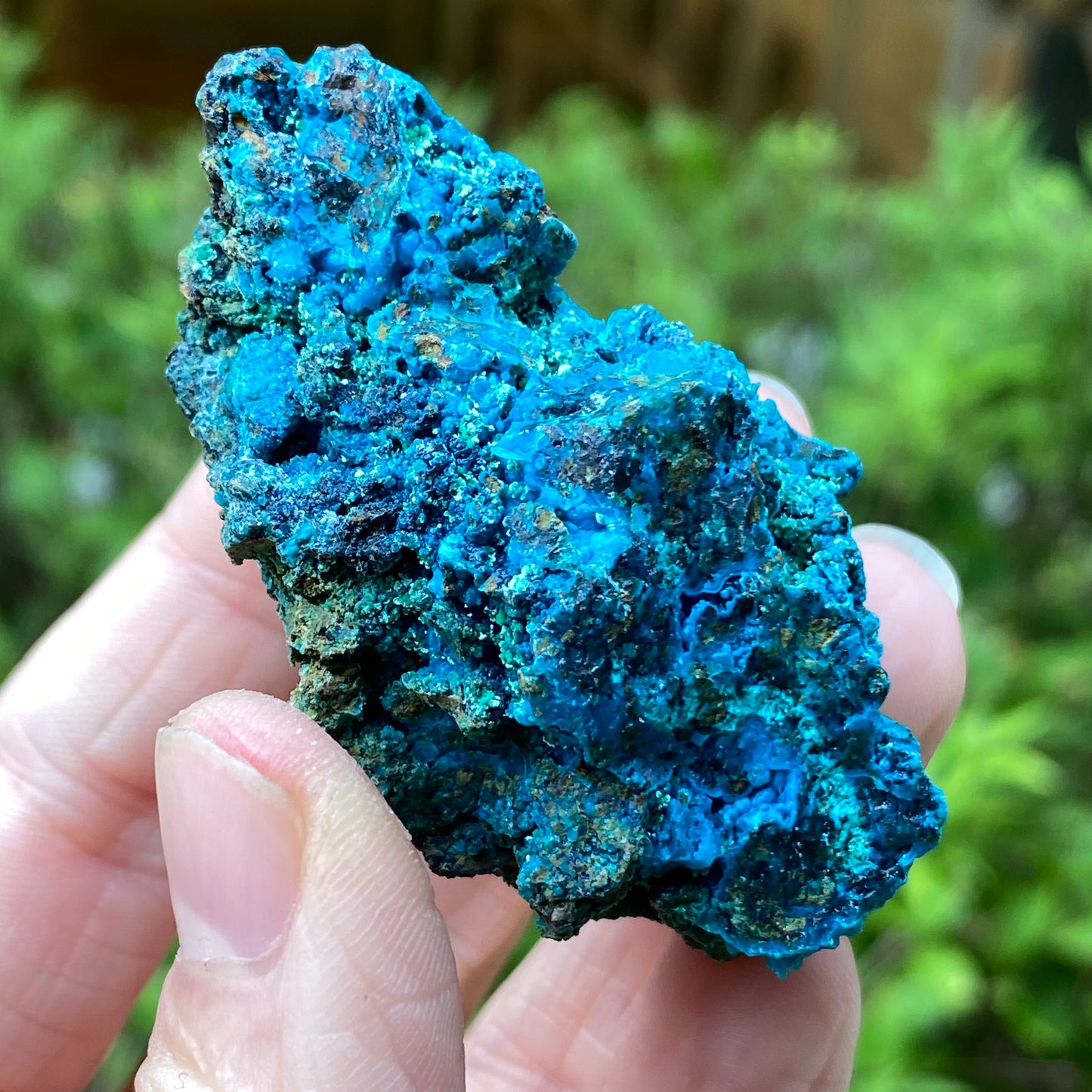 Chrysocolla Quartz