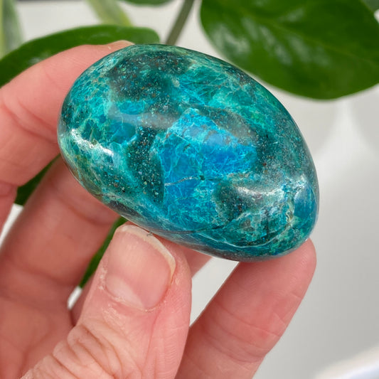 Chrysocolla Stone